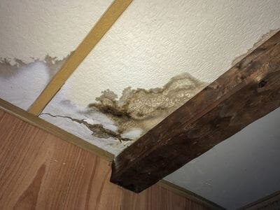 Water Damage Services